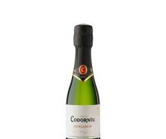 Codorniu Benjamin Codorniu Benjamin