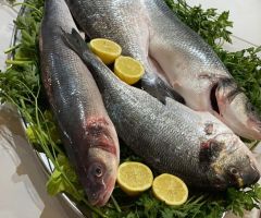 Dorada al horno Dorada al horno