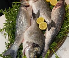 Lubina a la sal Lubina a la sal