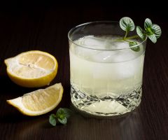 Gin Fizz Gin Fizz